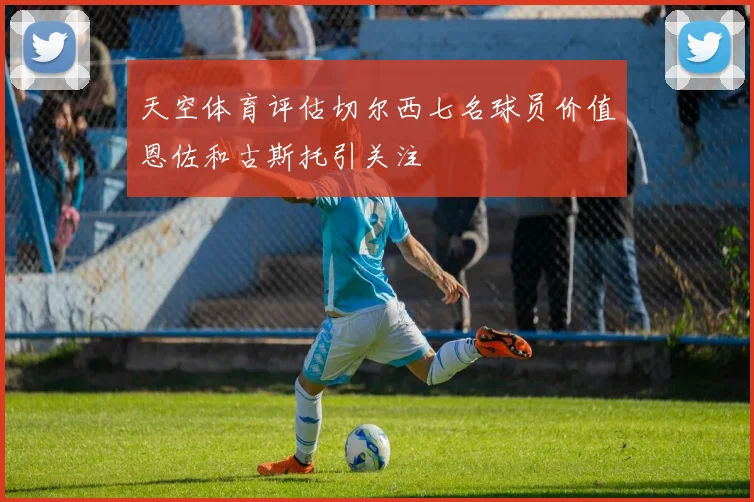 天空体育评估切尔西七名球员价值恩佐和古斯托引关注